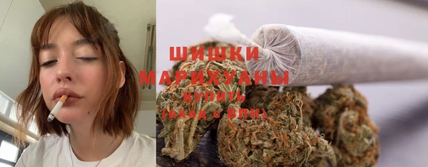 твердый Бронницы