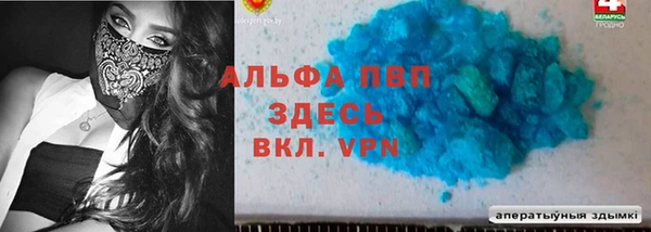 дживик Бородино
