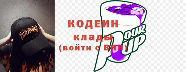 дживик Бородино