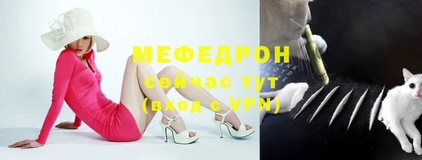 дживик Бородино
