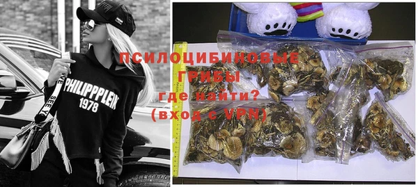 дживик Бородино