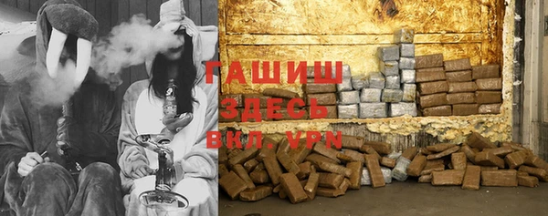 дживик Бородино
