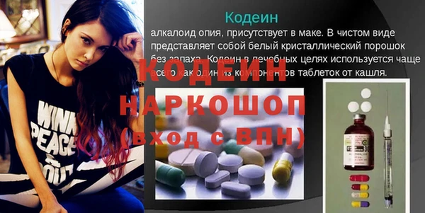 дживик Бородино
