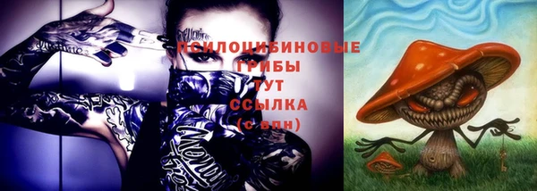 твердый Бронницы