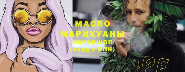 дживик Бородино
