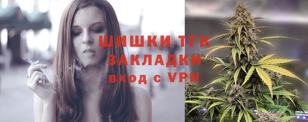 дживик Бородино