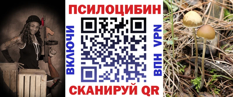 Галлюциногенные грибы Psilocybine cubensis  Междуреченск 